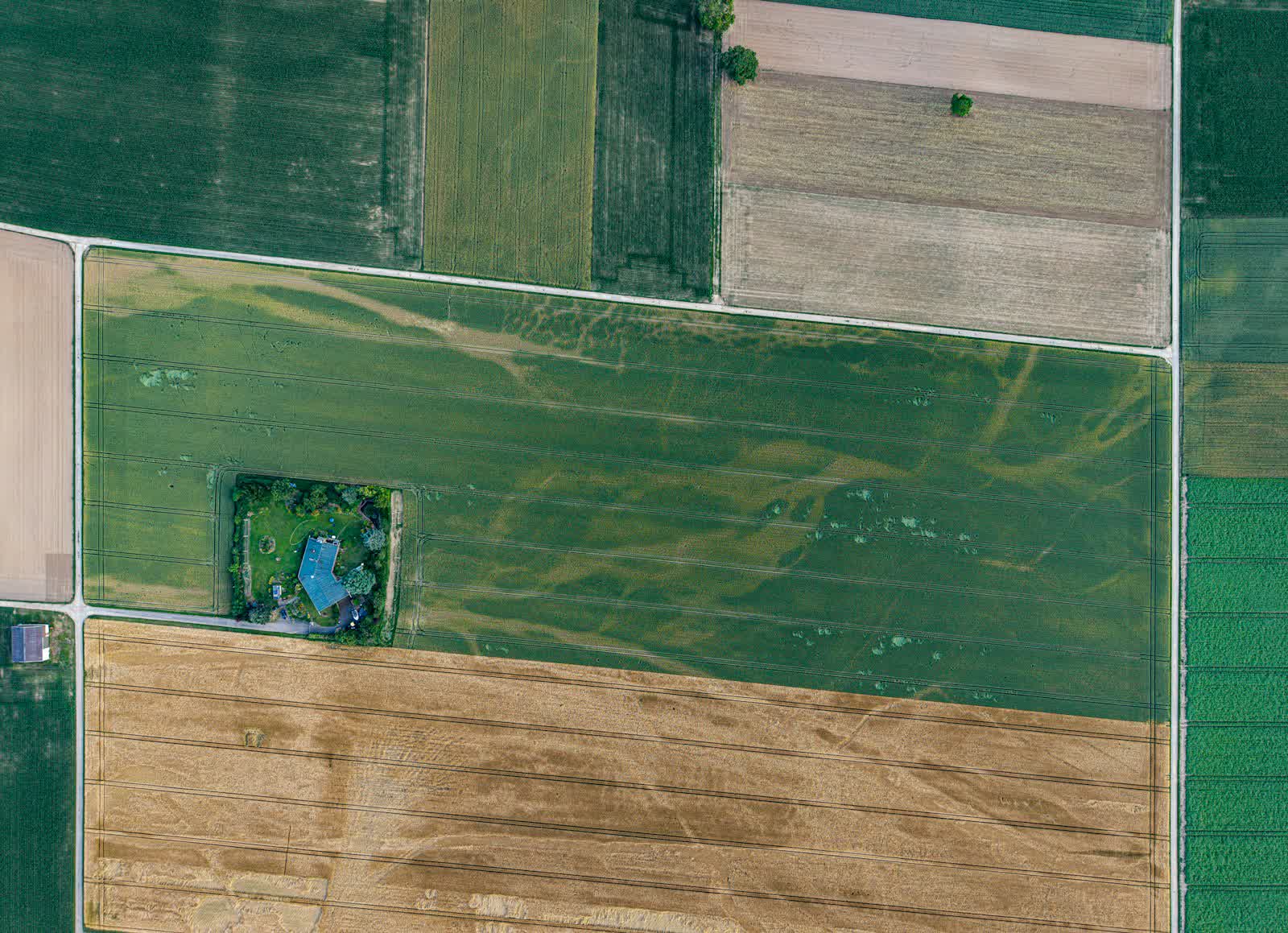 Parcellaire agricole en vue zénithale, type orthophotographie par drone
